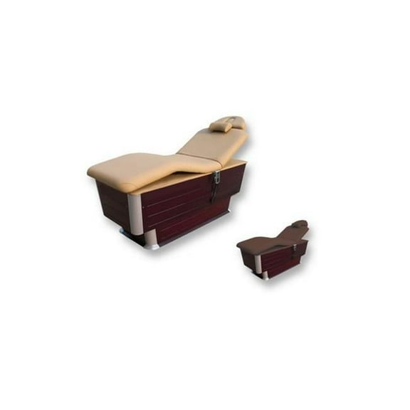 CSC Spa CH-2010 BR-10 3 Motor Electric Facial Bed, Dark Brown