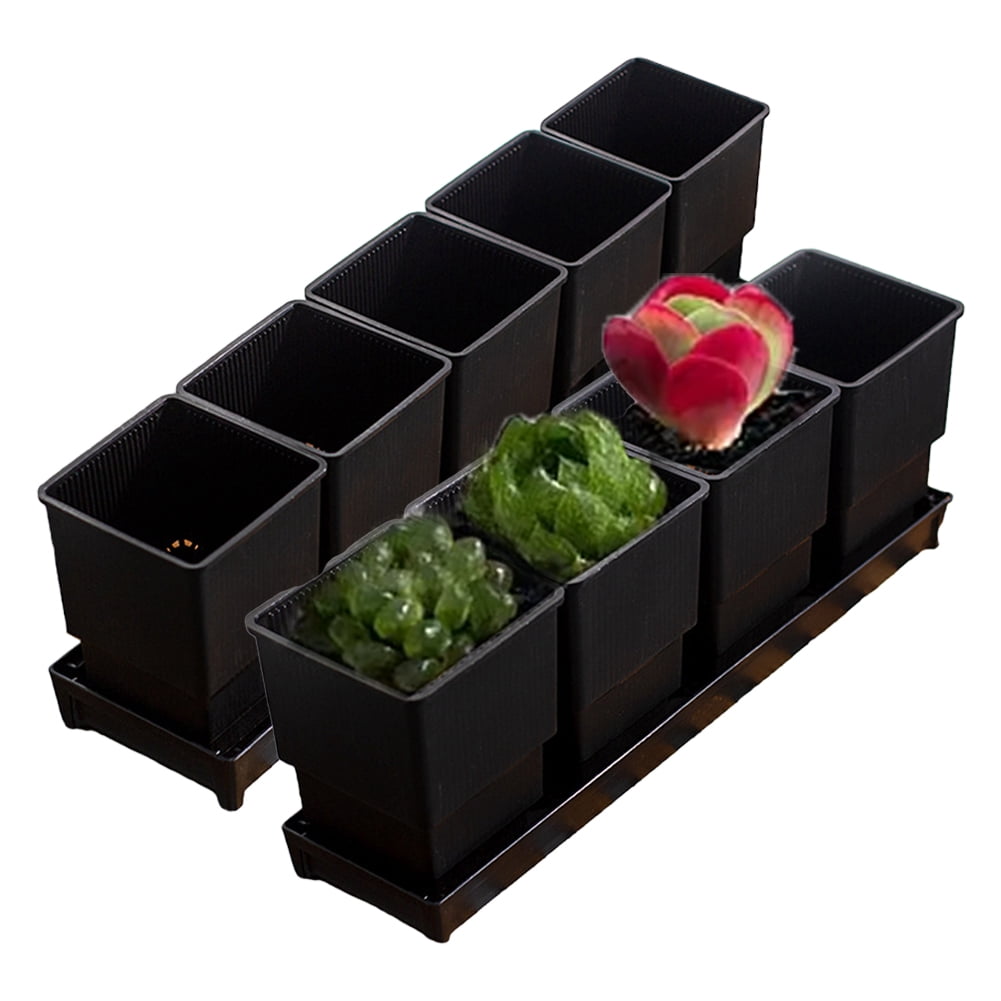 CSCHome 4 PCS Rectangle Plant Pot Plastic Breathable Planter with Drainage Holes and Tray High-Waisted Flowerpot for Succulents Gardening Home Window Decor