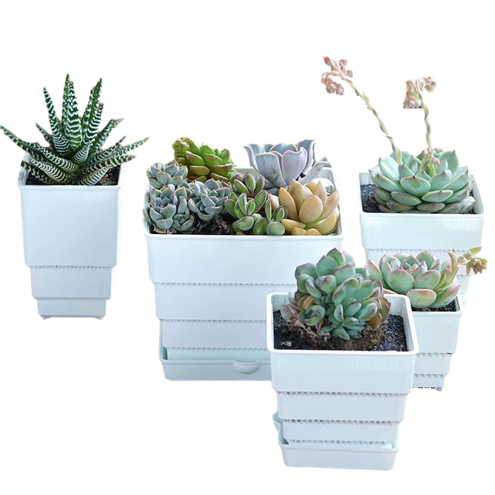 CSCHome 6 PCS Breathable Planter Square Orchid Potting Mix with Drainage Holes for Repotting for Succulents Gardening Home Window Decor