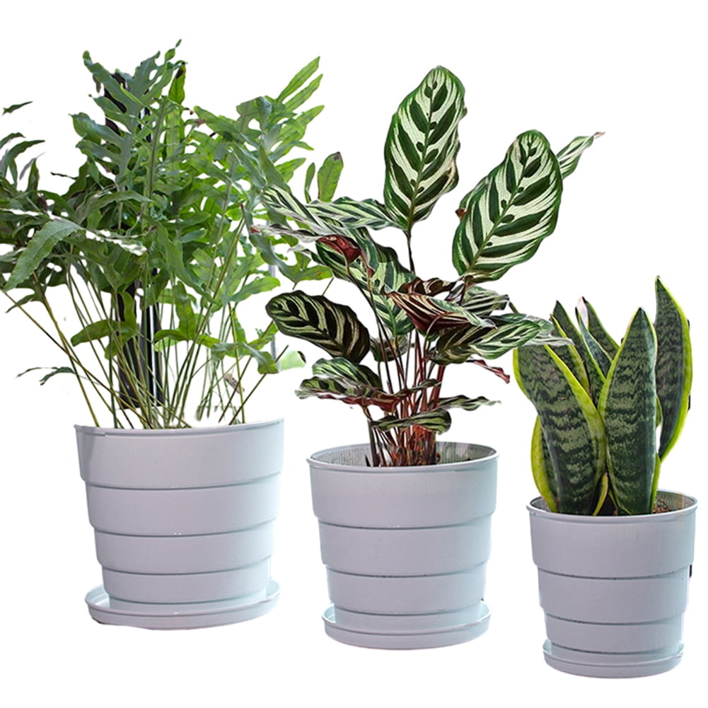 CSCHome Breathable Planter Orchid Potting Mix with Drainage Holes and Tray for Repotting for Succulents Gardening Home Window Decor