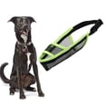 thumbnail image 1 of CSCHome Dog Breathable Mesh for Small Medium Large Dogs Dogs to Prevent Biting and Barking Adjustable Muzzle Soft Mesh Muzzle, 1 of 8
