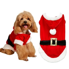 Dog christmas sweater walmart new arrivals