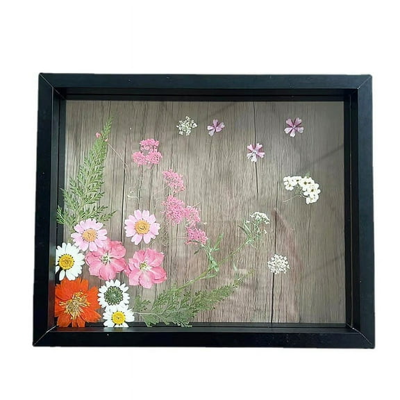 CSCHome 4x6inch Plant Specimen Frame Frames Top Slotted Design the Content Can Be Replaced at Any Time