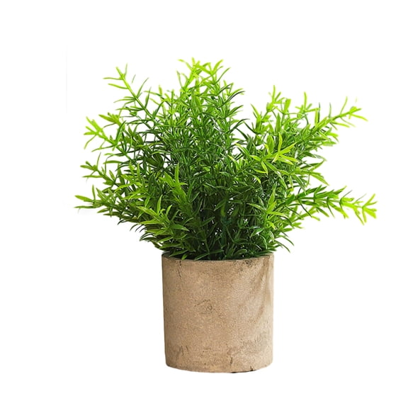 CSCHome Realistic Simulation Tongue and Bamboo Grass Plant Cement Flower Pot Room Kitchen Decor