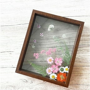 CSCHome Glass Photo Frames, Specimen Display Frames, Double-Sided Glass, Wooden Storage Boxes, House Decorations(Brown)