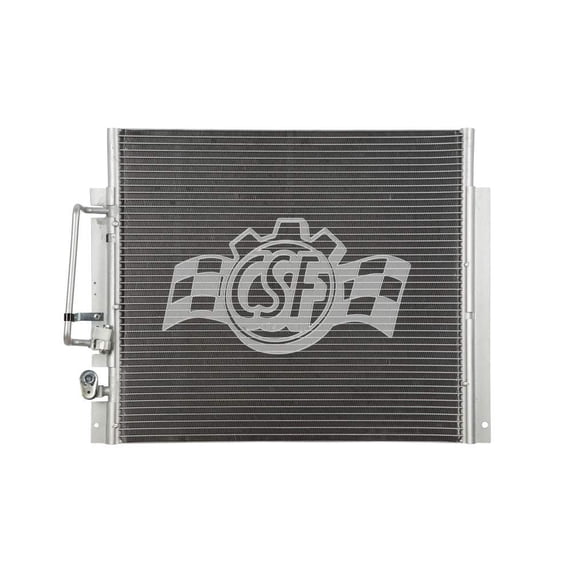 CSF 10589