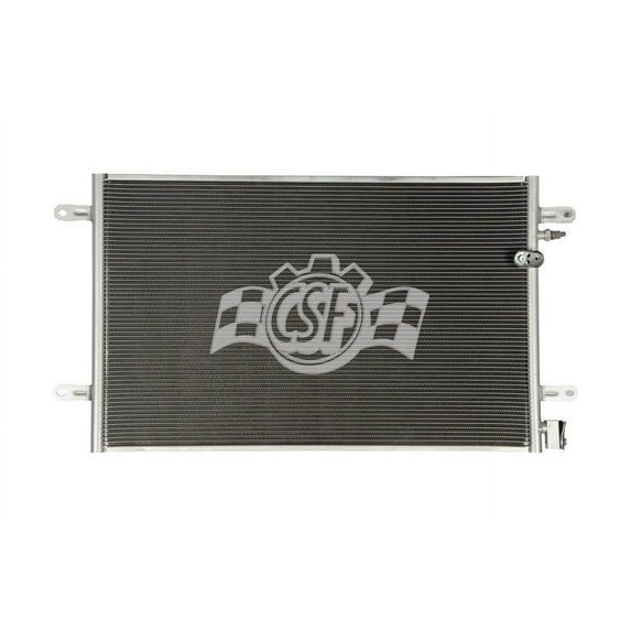 CSF 10676