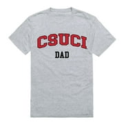 CSUCI CalIfornia State University Channel Islands The Dolphins College Dad T-Shirt Heather Grey Small