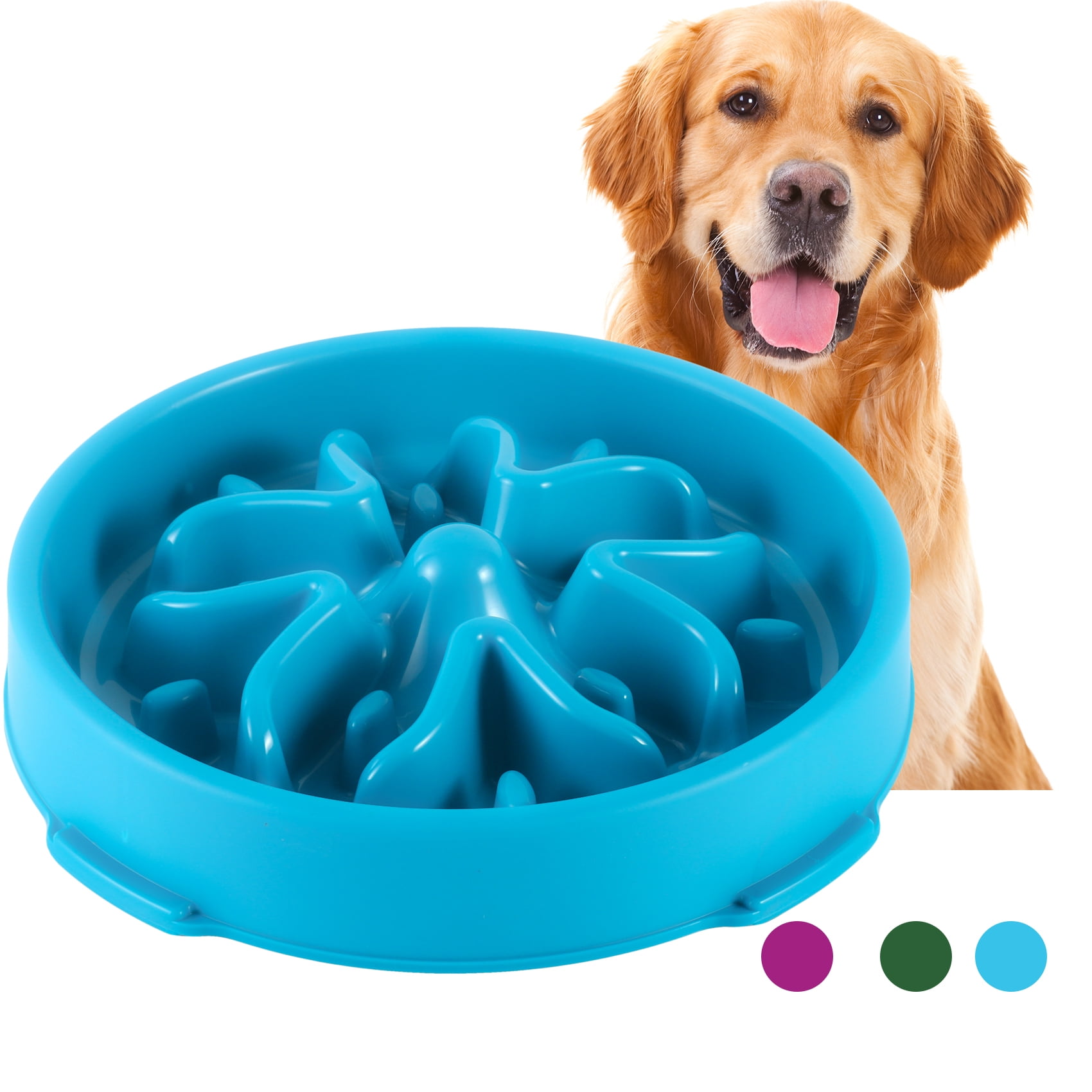 Maze Dog Bowl