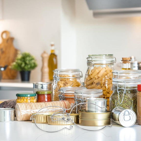 CTIRCHIU 10Pcs Replacement Stainless Steel Jar Wire Clamps with Quick Lock