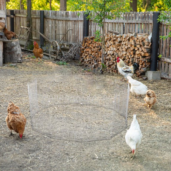CTIRCHIU 12Pcs White Chicken Fence Barrier for Home Use with Durable Wire Mesh Poultry Pen Partition