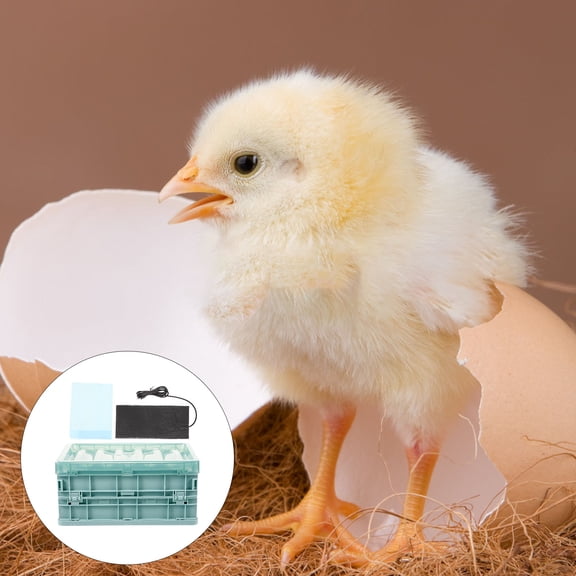 CTIRCHIU 1Set Parrot Brooder Box with USB Heating Pad Plastic Incubator for Home Use