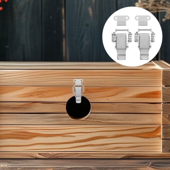 CTIRCHIU 2Pairs Stainless Steel Toolbox Toggle Latch Locks with Dual Spring Design for Secure Closure