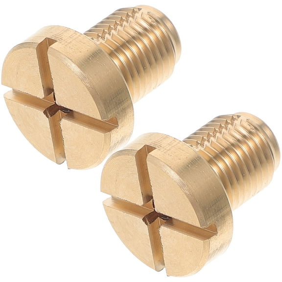 CTIRCHIU 2pcs Radiator Bleeder Screw Bleeder Valve for Car Owners