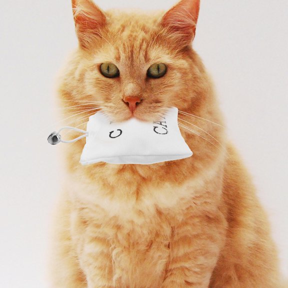 CTIRCHIU 3Pcs Sack Cat Toy for Cats Playing Time Random Style