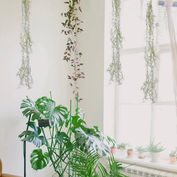 CTIRCHIU 6Pcs Preserved Moss Wall Art Artificial Hanging Moss Vine Light Green Decor