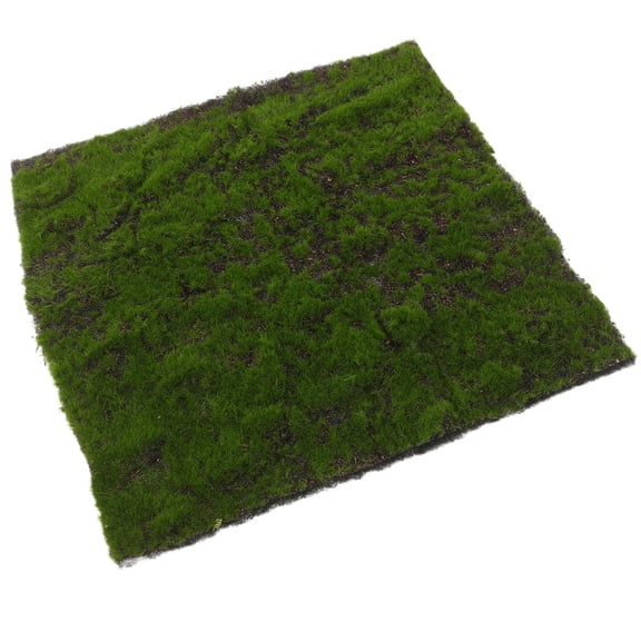 CTIRCHIU Realistic Faux Moss Mat, Green Artificial Grass Turf Rug for Home Office Wall Decor, Crafts and Indoor Displays