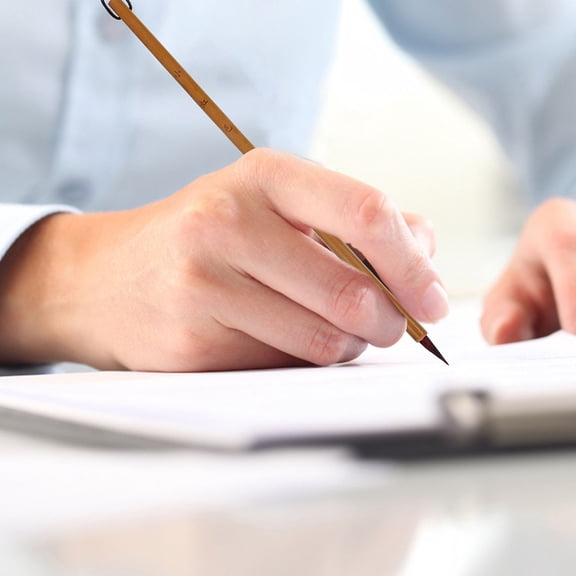 CTIRCHIU Brush Pens Set of 2 with Lanyard Design for Writing and Drawing