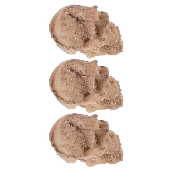 CTIRCHIU Beige Resin Bearded Dragon Tank Skull Decoration for Terrarium Enhances Appeal