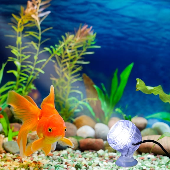 CTIRCHIU Color Changing LED Fish Bowl Light Waterproof Small Aquarium Night Light White