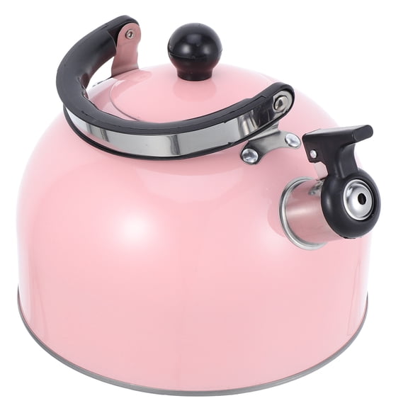 CTIRCHIU Hot Water Kettle Stovetop Stainless Steel Teapot with Flat Bottom for Household Users 1Pack