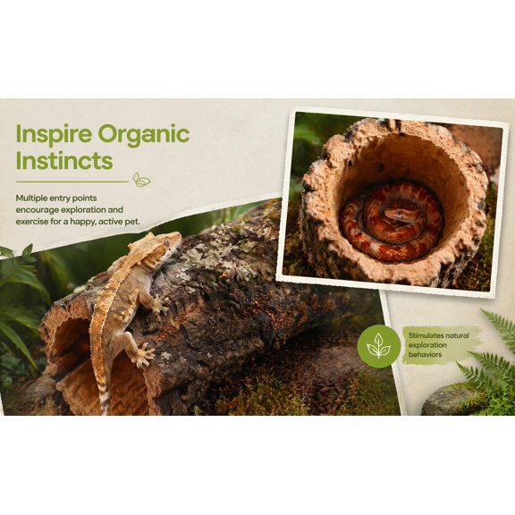 CTIRCHIU Naturalistic Reptile Shelter Brown Hollow Log for Geckos Snakes Lizards Terrarium