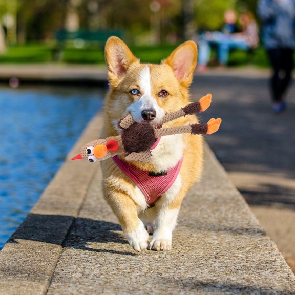 CTIRCHIU Pet Chew Toy Puppy Interactive Rooster Shape Teeth Cleaning Multi 1 Pc