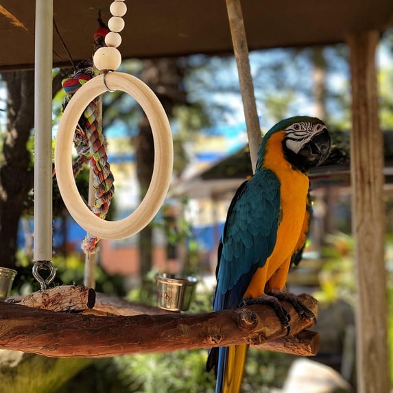 Image showcasing CTIRCHIU Wooden Parrot Circle Swing for Pet Birds - Hanging Cage Toy ...