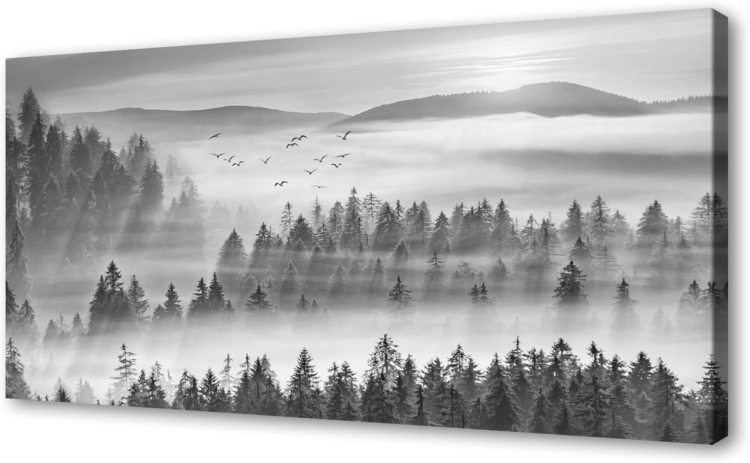CTLLDB3962 Black and White Foggy Forest and Mountain Nature Scenery