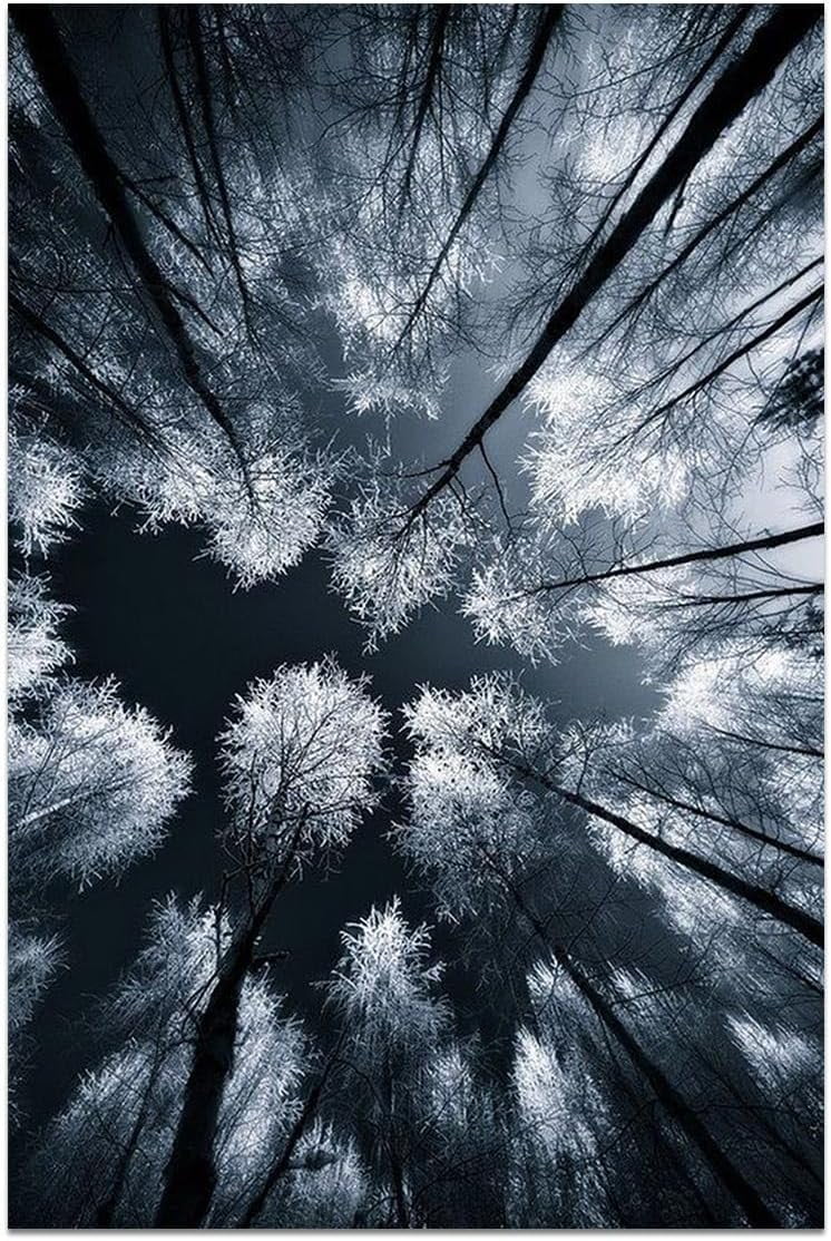 CTLLForest Canvas Wall Art, and White Landscape Paintings Prints Misty