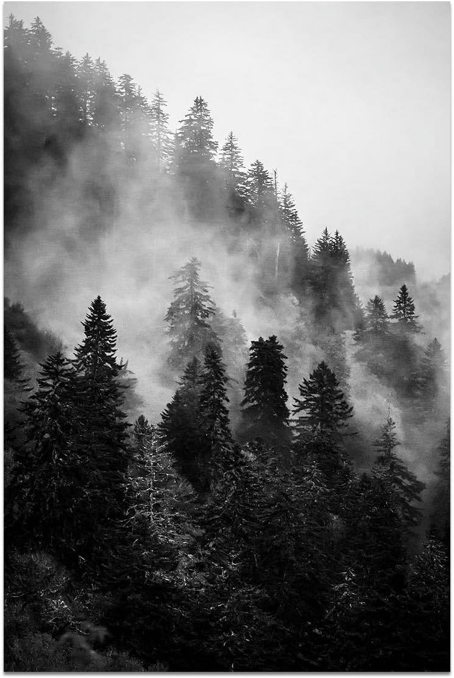 CTLLForest Canvas Wall Art, and White Landscape Paintings Prints Misty