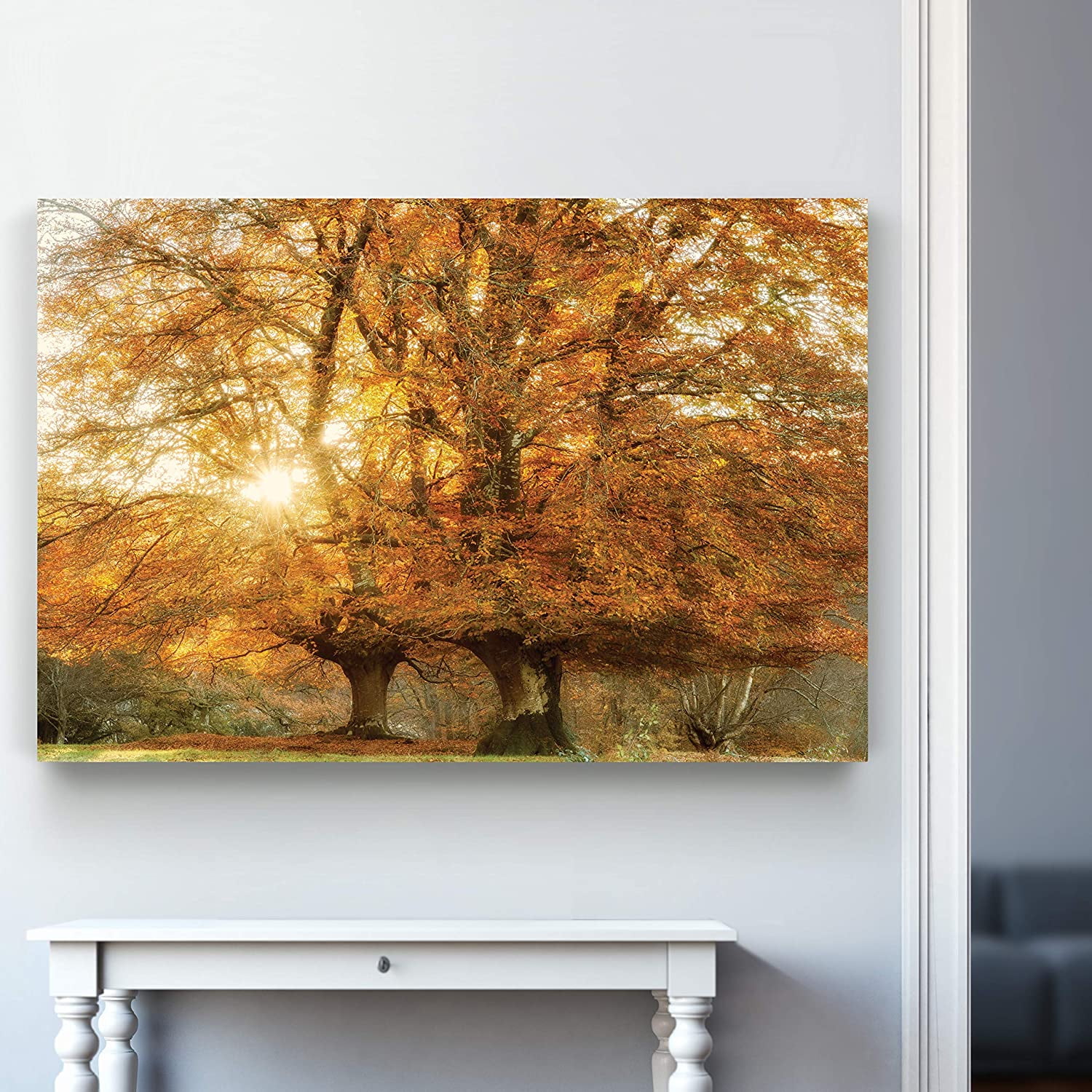 CTLLNature Art Pictures & Prints Sunlight coming through Orange Autumn