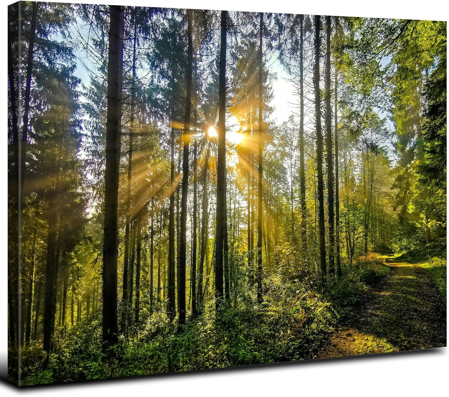 CTLL-Nature Forest Canvas Wall Art for Living Room Bathroom Sunrise ...