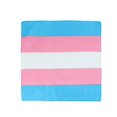 thumbnail image 1 of CTM Striped Trans Pride Bandana, 1 of 1