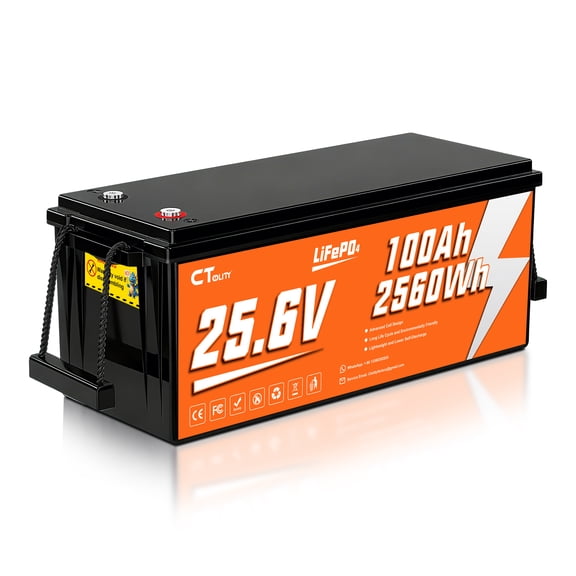 CTOLITY 25.6V 100Ah 2560Wh LiFePO4 Battery for Solar System, Rvs, Marine, Vans, Trailer,Trolling Motor, Backup, CT100-25
