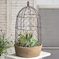thumbnail image 1 of CTW Home Collection 10” x 10” x 18.5” Brown Metal Chicken-Wire Cloche and Terra Cotta Pot & Planter, 1 of 3