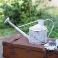 thumbnail image 1 of CTW Home Collection 440416 Speckled Rose Watering Can, 1 of 1