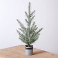 thumbnail image 1 of CTW Home Collection 530567 Tabletop Fir Tree in Galvanized Pot, 18.5-inch Height, 1 of 1