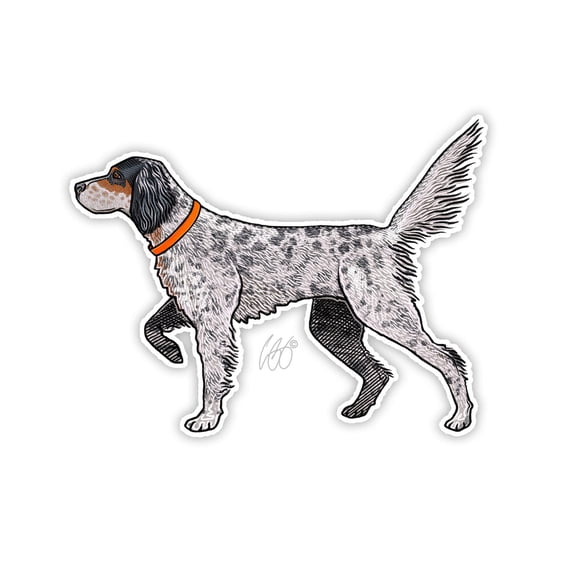 CU English Setter Decal