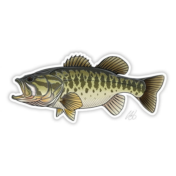 CU Largemouth Bass Decal