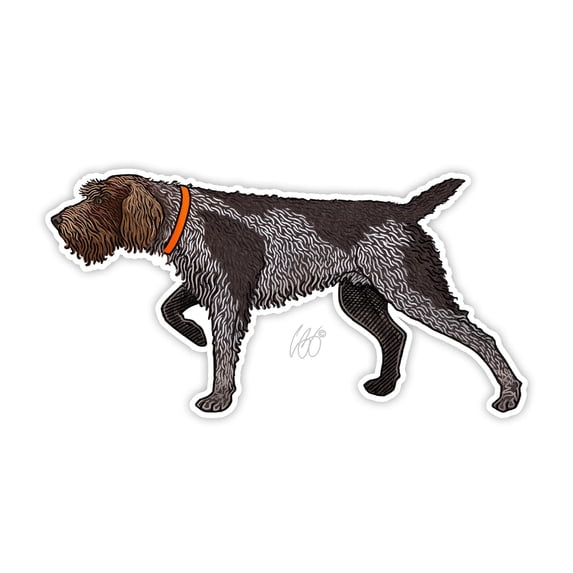 CU Wirehaired Pointing Griffon Decal