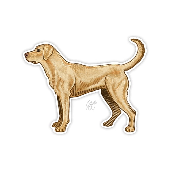 CU Yellow Lab Decal