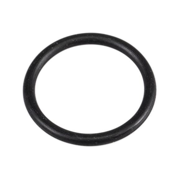 CUB CADET 721-04494 O Ring Volunteer WT FIS EFI Diesel CAB 747 4x4 4x2 48G 487