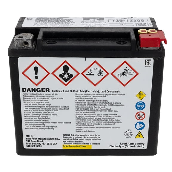 CUB CADET 725P13306 Battery 300 Cca Z SDL Pro Dually 972