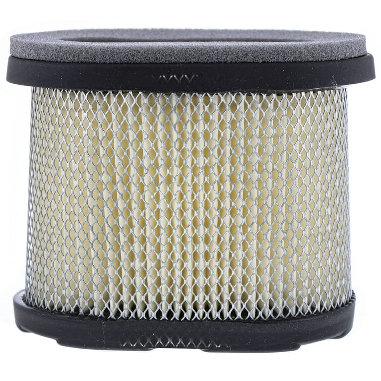CUB CADET BS 697029 Air Filter Cartridge S621 SC621 SC621E SR621 SRA621 SRC621
