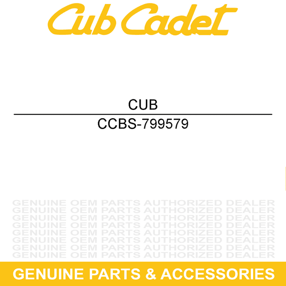 CUB CADET BS-799579 Briggs and Stratton Filter
