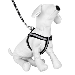 CUECUEPET Braided Choke Free Reflective Dog Harness and Leash for Daytime and Evening Walking