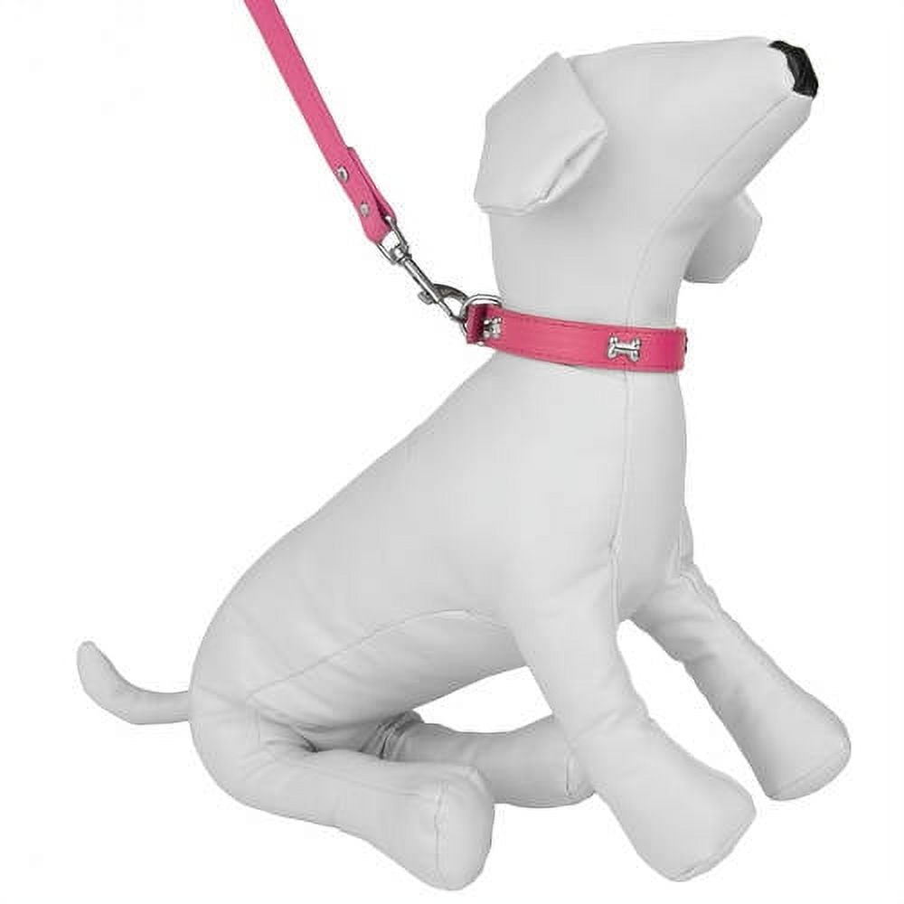 CUECUEPET Embellished Bone Charm Dog Collar and 44.5 inch Leash for Walking [Multiple Sizes]
