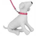thumbnail image 1 of CUECUEPET Embellished Bone Charm Dog Collar and 44.5 inch Leash for Walking [Multiple Sizes], 1 of 1