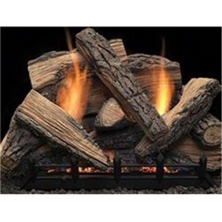 CUI Heat NB24NIF 37000 BTU 24 in. IntelliFire Plus Natural Blaze Burner - Natural Gas with Remote Control